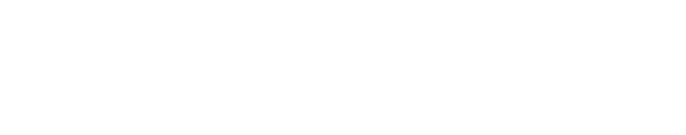 DigDash AI